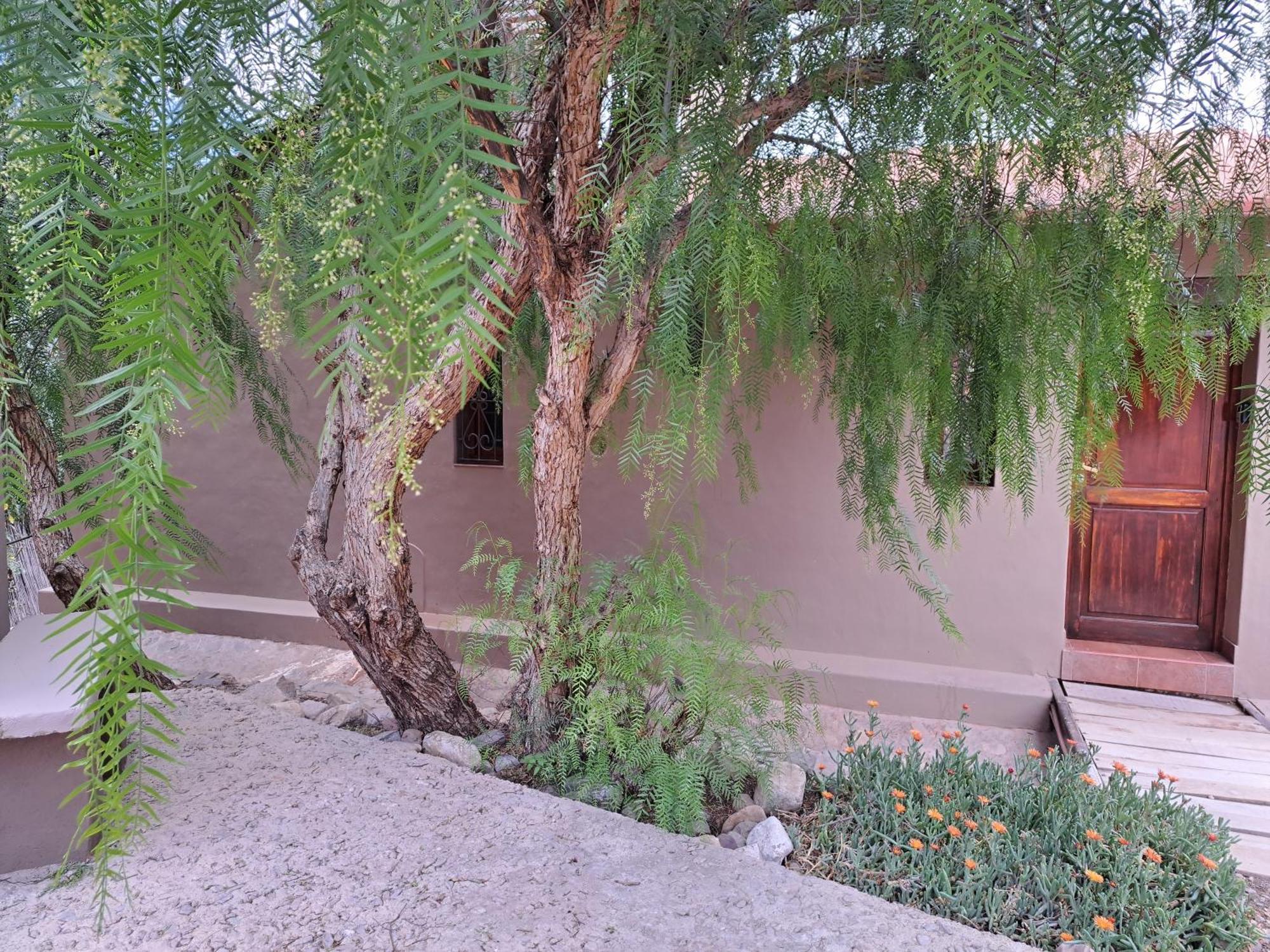 Casa En Tilcara Con Hermosa Vista Al Pucara エクステリア 写真